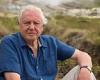 David Attenborough voted Britain's favourite TV presenter of all time trends now