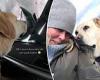 Sunrise: Samantha Armytage frightens her dog Banjo in the car wash trends now