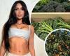 Kim Kardashian's garden tour! Star reveals she grows broccoli, avocados, ... trends now