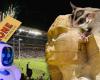 Weekly news quiz: An evil chatbot, a quirky sphinx and an inaugural NRL victory