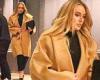 Adele emerges from dinner in LA between Vegas shows... amid rumors she is ... trends now