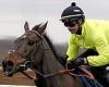 sport news ED CHAMBERLAIN: Constitution Hill leads the charge at Cheltenham, while stage ... trends now