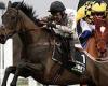 sport news CHAMPION HURDLE LOWDOWN: Constitution Hill on the verge of greatness but State ... trends now