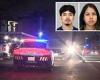 Four killed in Dallas mass shooting - two suspects charged with murder trends now
