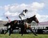sport news MIKE DICKSON: Constitution Hill lights up Cheltenham with superstar showing as ... trends now