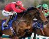 sport news Stayers' Hurdle Lowdown: Home By The Lee can improve on his gallant sixth place ... trends now