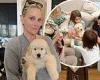 Molly Sims adopts an adorable golden retriever for her family and documents the ... trends now
