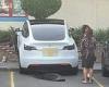 Tesla crashes into wall outside Narwee newsagency in Sydney despite ... trends now