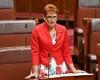 One Nation's Pauline Hanson slams 'pay the rent' to Aboriginal people proposal  trends now