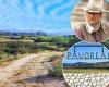 John Wayne's 2,000 acre Southern California ranch on the market for $12 million trends now