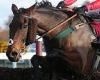 sport news Robin Goodfellow's racing tips: Best bets for Friday, March 24 trends now