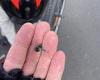 Northern River Rail Trail for cycling sabotaged with spikes and nails  trends now