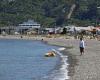 Foot inside shoe washes up on Petone Beach, Wellington, New Zealand trends now