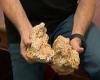 Victorian man finds $240,000 gold nugget with budget metal detector in the ... trends now