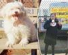 Family is devastated after their dog was euthanized  after arriving at a ... trends now