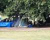 Brisbane tent city pops up in Musgrave Park exposing rental crisis in Australia trends now