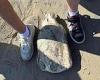 Coffin ray found on Bathers Beach at Fremantle stuns couple as they search for ... trends now