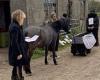 Locals stage mock funeral over plans for 1,700 houses and say UK's  'green ... trends now