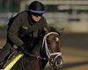 sport news Kentucky Derby 2023 horses, odds and post positions: Everything you need to know trends now