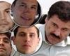 El Chapo's sons claim they are NOT the leaders of the Sinaloa Cartel trends now
