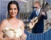 EMILY PRESCOTT: Ed Sheeran is too busy for the King... but not to replace Katy ... trends now