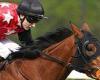 sport news Robin Goodfellow's racing tips: Best bets for Tuesday, May 9 trends now