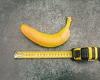 Insane EU bendy banana law is not on list of regulations to be scrapped in huge ... trends now