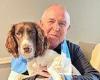 Coventry City football fan devastated after his spaniel chews through ... trends now