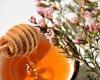 Top British scientists plan to use Manuka honey to make special chemical attack ... trends now