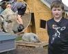 Kansas boy, 9, forced to part with emotional support pig after city council ... trends now