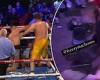 sport news Ellis Zorro knocks out Hosea Burton with brutal right hand trends now