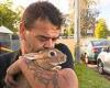 Man's pet rabbits survive huge fire that engulfed Shalvey home in western Sydney trends now