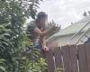 Hamilton New Zealand: Dispute breaks out after woman asks neighbour to turn ... trends now