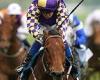 sport news Robin Goodfellow's racing tips: Best bets for Saturday, May 20 trends now