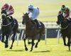 sport news Robin Goodfellow's racing tips: Best bets for Monday, May 29 trends now