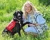 Woman with severe fainting disorder says her medical detection dog has changed ... trends now
