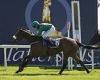 sport news Tahiyra atones for Newmarket let-down with victory in the Irish 1,000 Guineas trends now