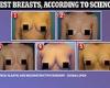 These are the five BEST looking breasts according to men AND women trends now