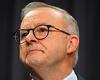 Anthony Albanese's message to Aussies planning to vote no on Indigenous voice trends now