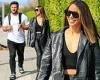 Scheana Shay teases her midriff in sexy all-black for afternoon out in LA with ... trends now