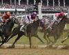 sport news Churchill Downs set to limit horse schedules over eight-week period to curb ... trends now