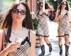 Emily Ratajkowski turns heads as she steps out in a sheer slip dress in New York trends now