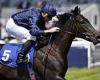 sport news Robin Goodfellow's racing tips: Best bets for Saturday, June 3 trends now