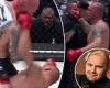 sport news Former boxing world champion Krzysztof Glowacki scores a sensational one-punch ... trends now