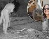 Nature lover's horror when wildlife cam reveals 'witches holding carcass ... trends now