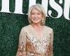 Martha Stewart wades into the remote working row and says America will 'go down ... trends now