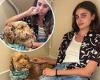 Taylor Hill breaks down in TEARS as she reveals her dog Tate is near death trends now