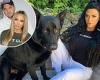 Katie Price hits back saying the RSPCA has 'no concerns' about animal welfare ... trends now