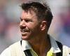 sport news Australia vs India: David Warner dismissed for one as Aussies build on their ... trends now