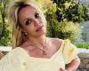 Britney Spears' family say they fear she is on METH and will die like Amy ... trends now